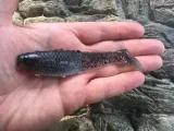 ripper-dragon-reno-killer-10cm-clear-black-przeznaczenie-jazie-klenie-lipienie-okonie-pstragi-sandacze-sumy-szczupaki