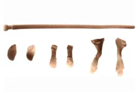 zestaw-naprawczy-savage-gear-lb-3d-rad-szczur-main