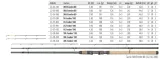 wedka-mega-baits-tactix-4-20m-dragon-marka-dragon