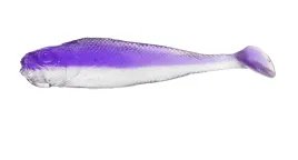 realistic-shad-matusiak-jazgarz-9cm-ripper-1szt
