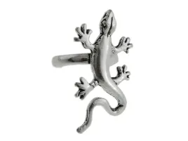 nausznica-gekon-jaszczur-jaszczurka-gad-kn032