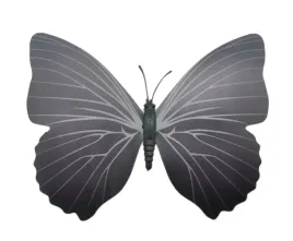 magnes-motyl-3d-ozdobny-na-lodowke-m59-czarny