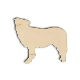 ad817-pies-rasy-border-collie