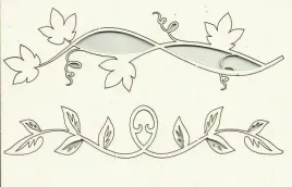 sk206-rosliny-w-zestawie