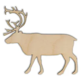 ad570-jelen