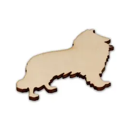 ad1137-owczarek-szkocki-collie