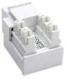 modul-keystone-rj11-12-bialy