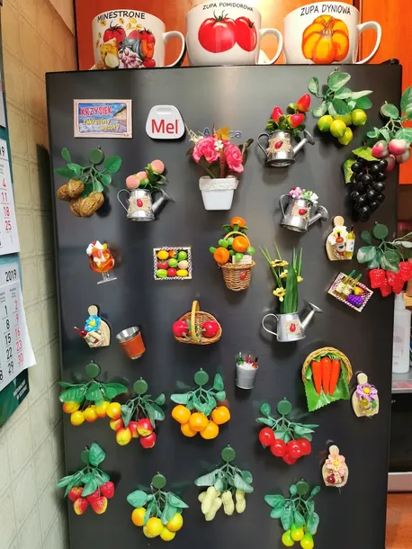 magnes-na-lodowke-tarka