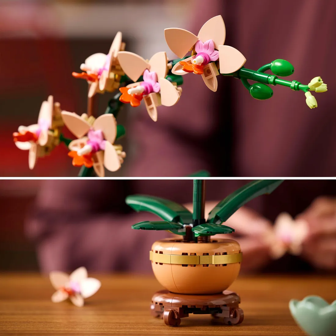 lego-mala-orchidea-10343-botanicals-stan-nowy