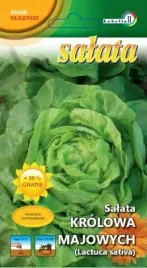 salata-maslowa-krolowa-majowych-1g-l