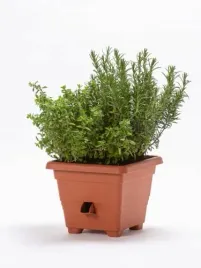 donica-31l-samonawadniajaca-terakota-50x50cm