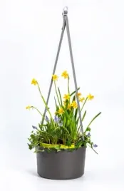 wiszaca-doniczka-z-paskiem-30x20-szara-berberis