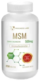 msm-500mg-250tab-progress-labs