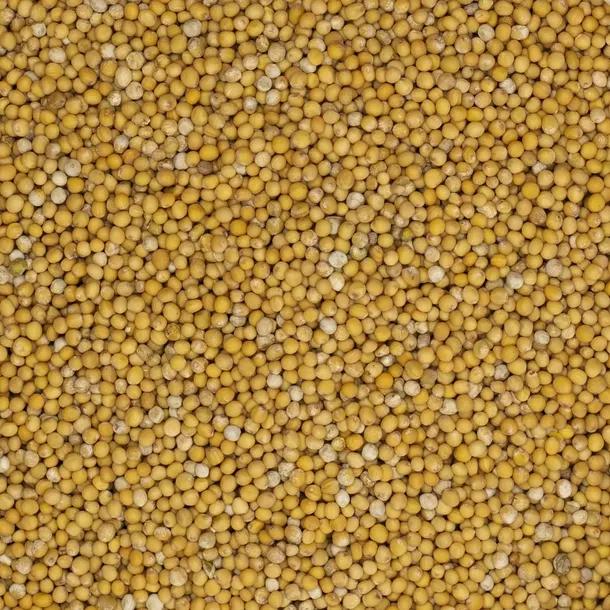 gorczyca-biala-1kg-stan-nowy