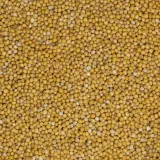 gorczyca-biala-1kg-stan-nowy