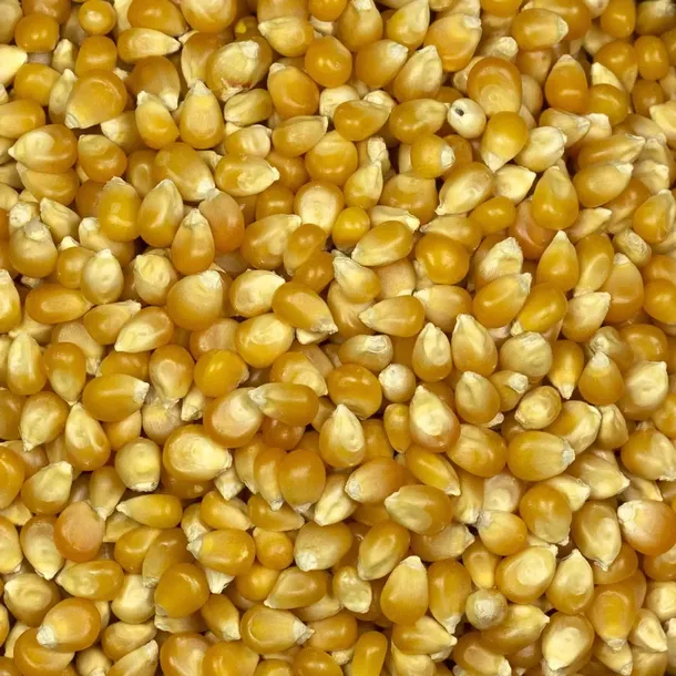 popcorn-1kg-stan-nowy