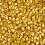 popcorn-1kg-stan-nowy