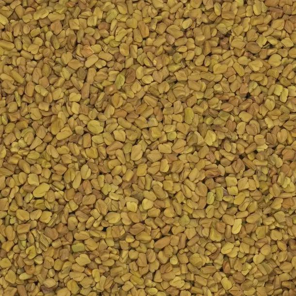 kozieradka-ziarno-1kg-stan-nowy