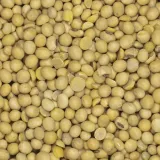 soja-ziarno-5kg-stan-nowy