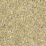 kasza-peczak-1kg-stan-nowy