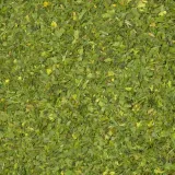 natka-pietruszki-500g-stan-nowy