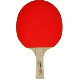rakietka-do-ping-ponga-atemi-hobby
