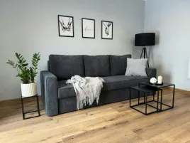 sofa-z-funkcja-spania-rozkladana-kanapa-sofia-pojemnik-sprezyny-bonell-poso