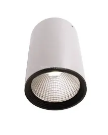 lampa-sufitowa-led-luna-20-4000k-kol-bialy-matowy-d348057