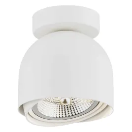 plafon-1-pl-garland-4710-bz-argon