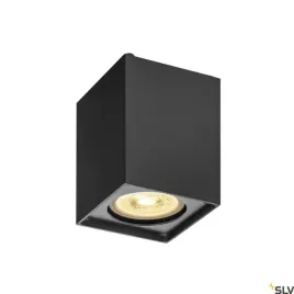 lampa-scienna-i-sufitowa-altra-dice-cl-1002216-slv