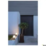 1000344-slv