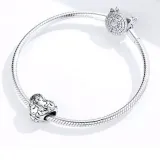charms-do-pandora-kwitnaca-milosc-stan-nowy