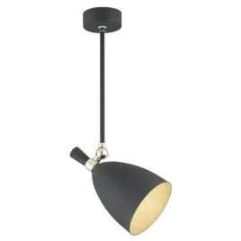 lampa-wiszaca-1-pl-charlotte-4686-argon