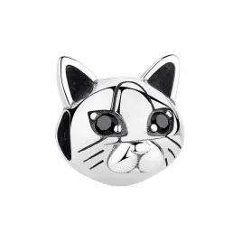 charms-do-pandora-kocurek