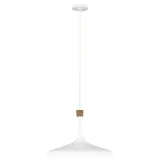 lampa-wiszaca-darwin-fe-darwin-p-elstead-lighting