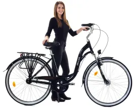 rower-miejski-meski-damski-28-dallas-7-nexus-alu