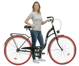 rower-damski-miejski-28-rama-labedz-1-bieg-prosty-polski-dallas-bike