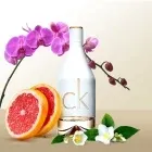 calvin-klein-ckin2u-her-edt-100-ml