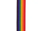 pasek-gitarowy-d-addario-poly-auto-lock-rainbow-stan-nowy