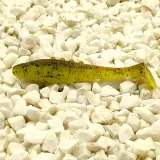 dragon-ripper-lunatic-pro-75cm-yellow-frog-stan-nowy