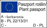 aronia-nero-2l-styl-ogrod-srodziemnomorski-ogrod-wiejski-ogrod-skalny-ogrod-nowoczesny-ogrod-japonski-rodzaj-rosliny-aronie
