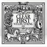 pojedyncza-struna-ernie-ball-clear-nylon-e1