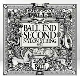 pojedyncza-struna-ernie-ball-ball-end-black-b2