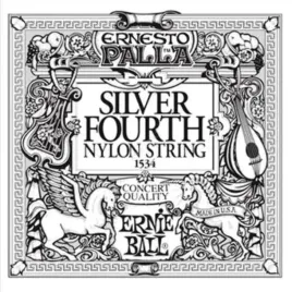 pojedyncza-struna-ernie-ball-silver-d4