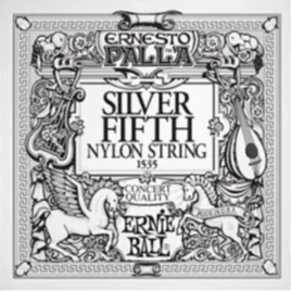 pojedyncza-struna-ernie-ball-silver-a5