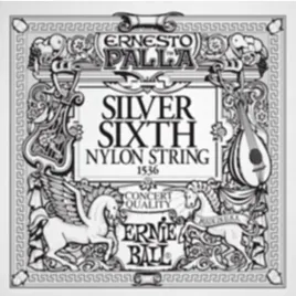 pojedyncza-struna-ernie-ball-silver-e6