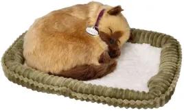 maskotka-kotek-syjamski-zaadoptuj-mnie-interaktywny-oddychajacy-dla-dzieci