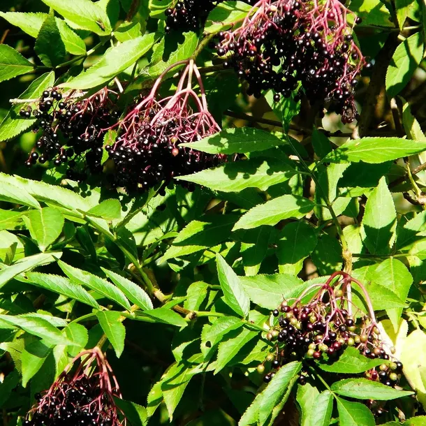 bez-czarny-samyl-2l-stan-nowy