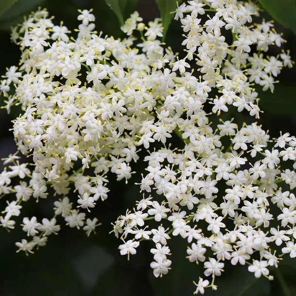 bez-czarny-sampo-2l-stan-nowy