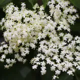 bez-czarny-sampo-2l-stan-nowy